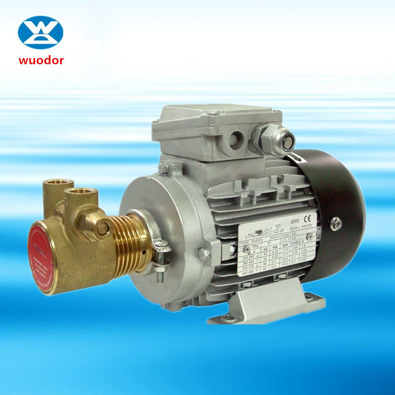 WDRS-15系列高压热油泵 循环加压泵 模温机设备泵