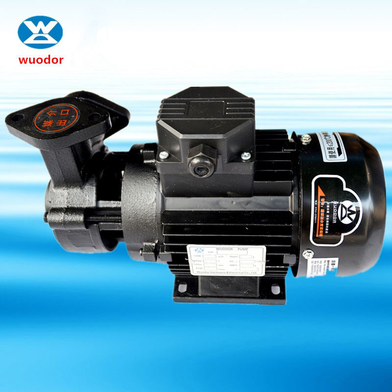 TS系列高温油泵 塑料周边机械泵 热油热水循环泵