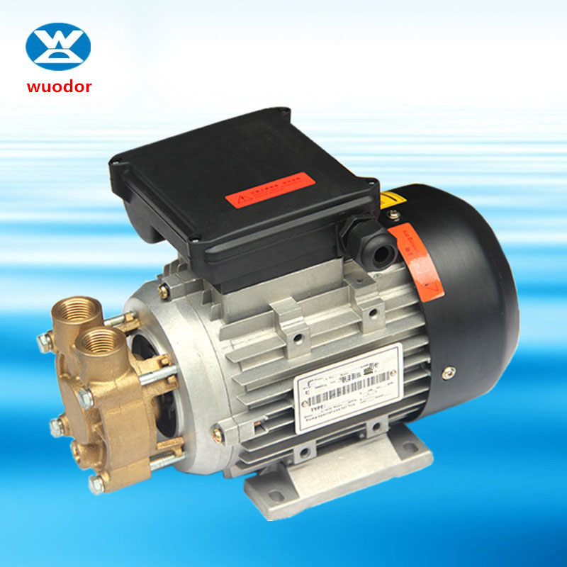 WD系列热水泵 热油泵 小型精密模温机泵 热油循环泵