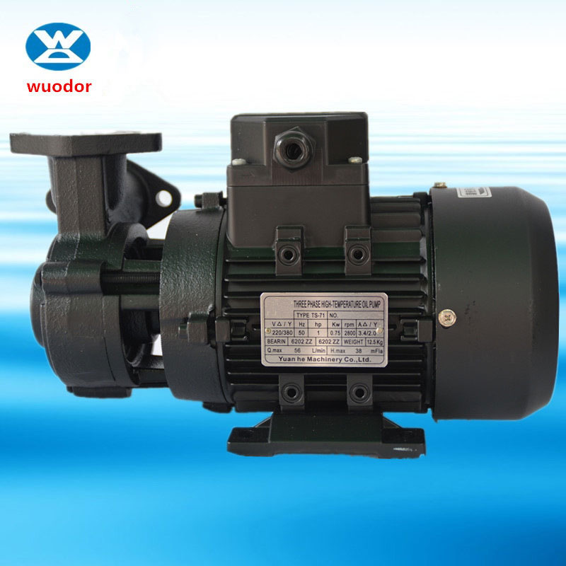 TS系列高温热水泵 家用锅炉热水泵 热油循环加压泵