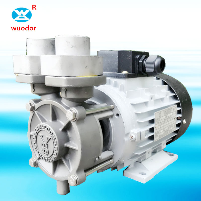 WDRS-20系列高温泵 齿轮磨擦泵 工业设备增压热水泵