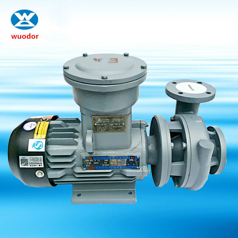 WGP-EX系列卧式防爆高温油泵 热油循环泵