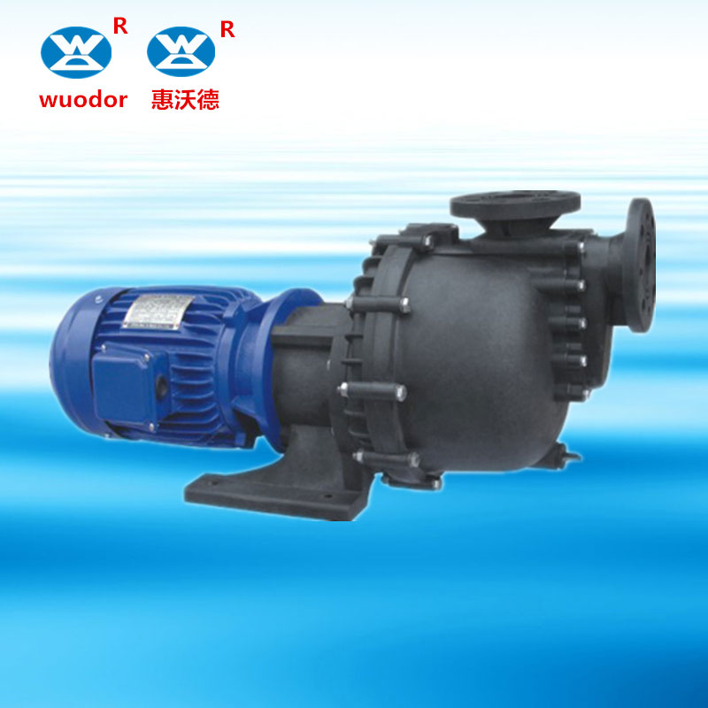 卧式耐腐蚀自吸大头泵
