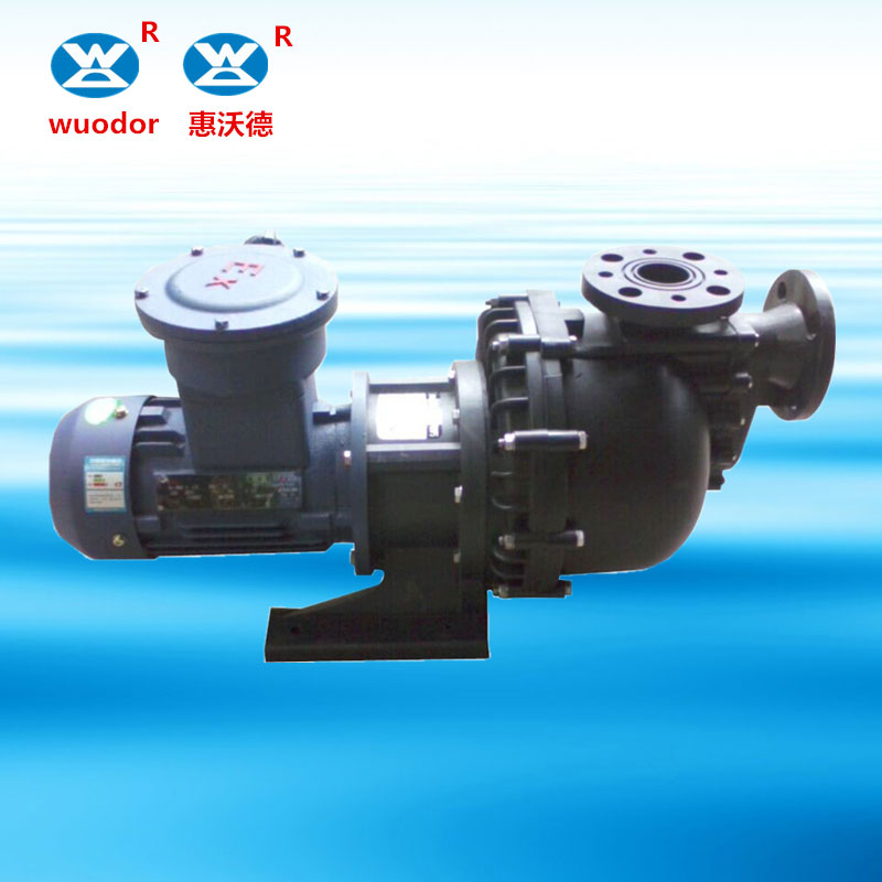 防爆电机卧式化工耐酸碱大头泵